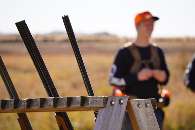 Pheasant Hunting