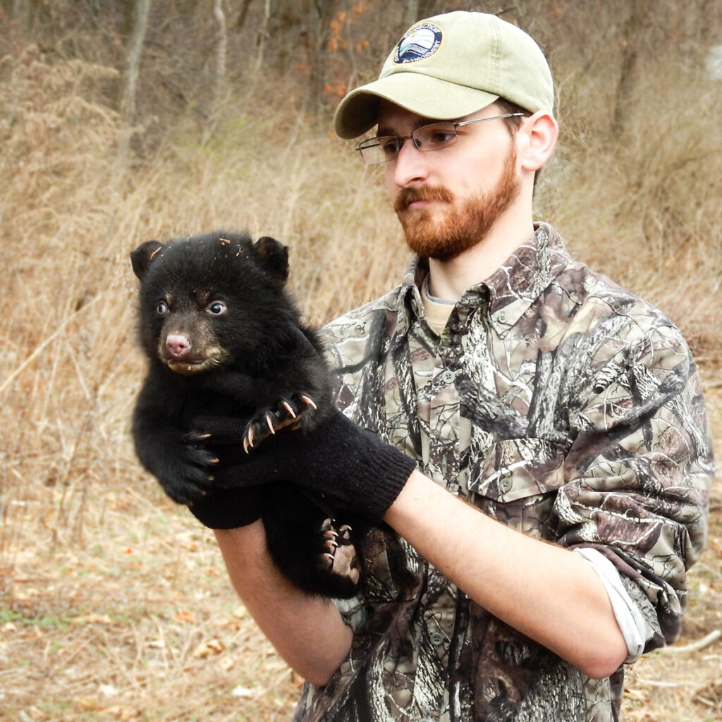 Biologist with a bear cub