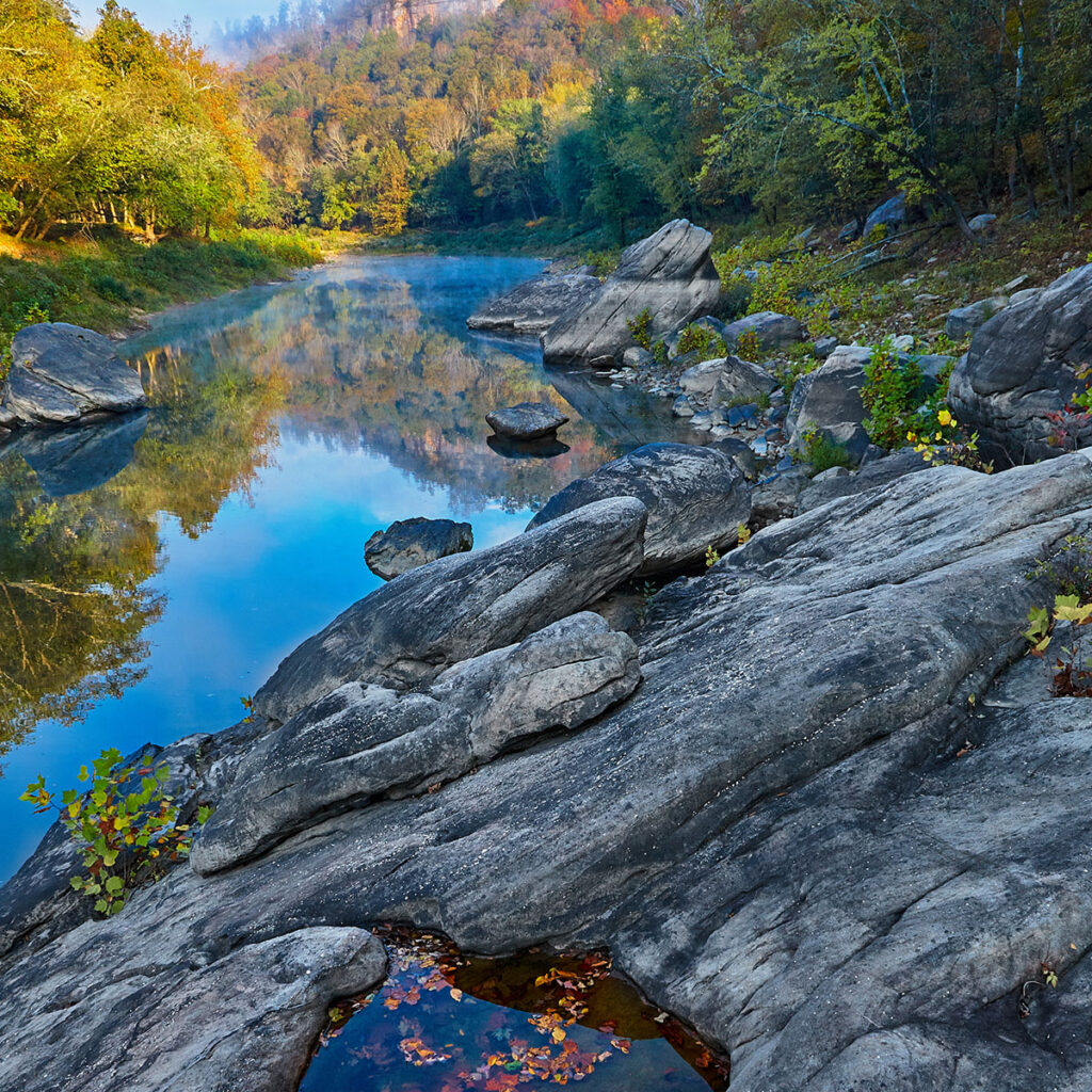 A stream in Kentucky