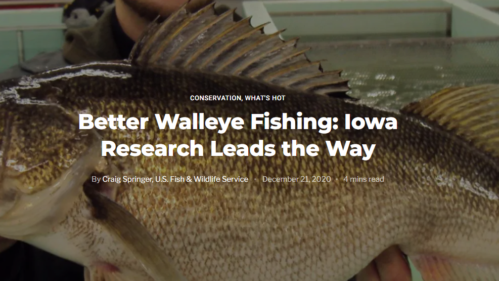 Better Walleye Fishing: Iowa Research Leads the Way - Partner with a Payer