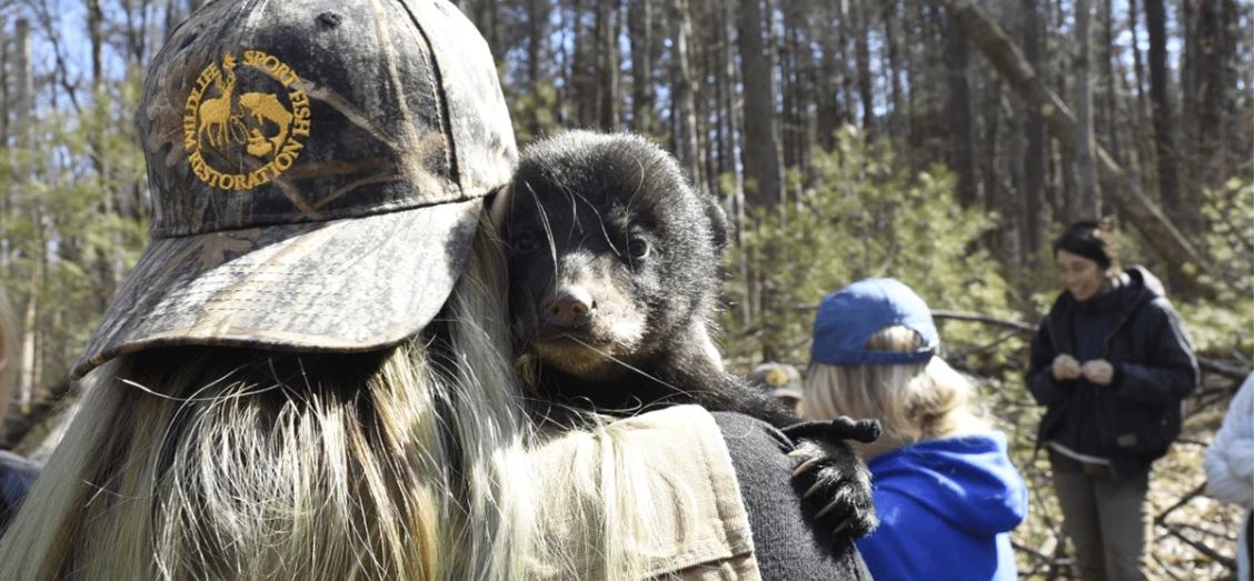 Person with a wildife and sport fish restoration hat holding a bear cub over their shoulder