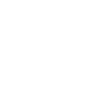 Boat Icon