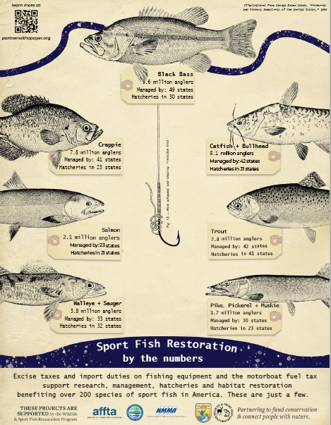 Image of the Sport Fish Conservation by the Numbers handout