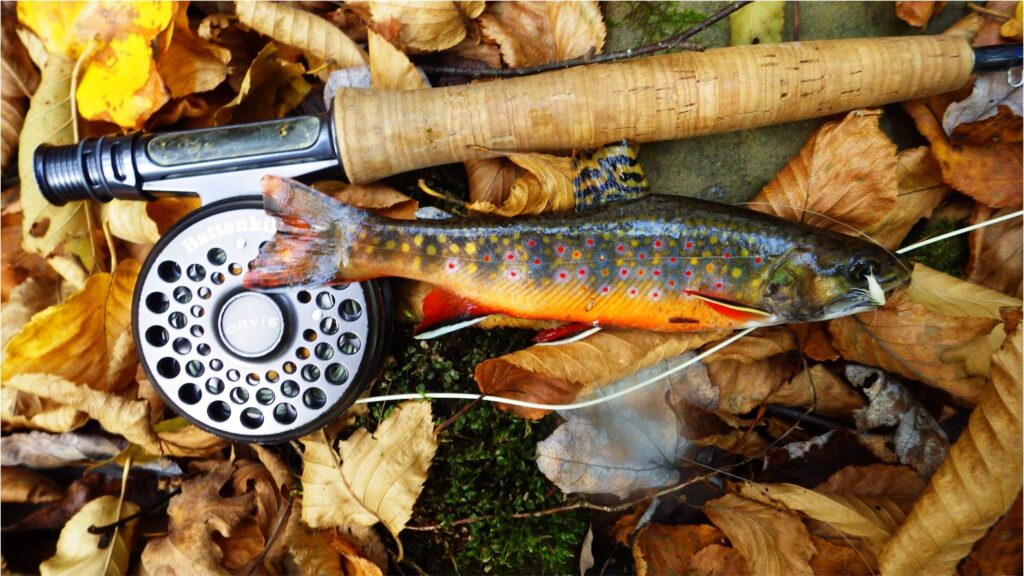 fish on top of leaves next to fishing rod