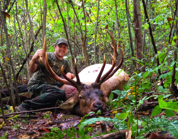 White Man with Elk