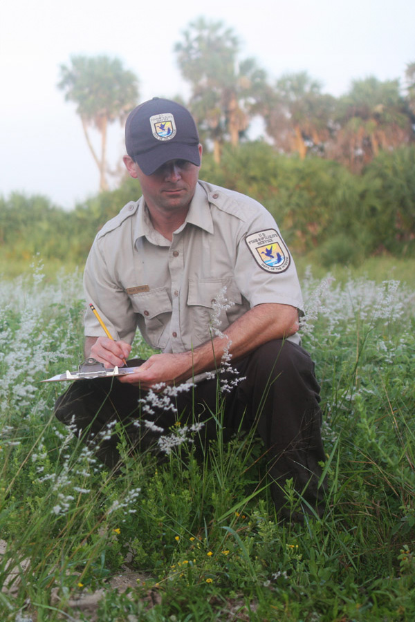 A USFWS biologist in the field