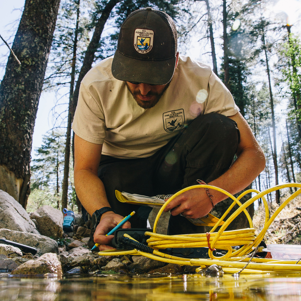 A fisheries biologist inspecting water equipment