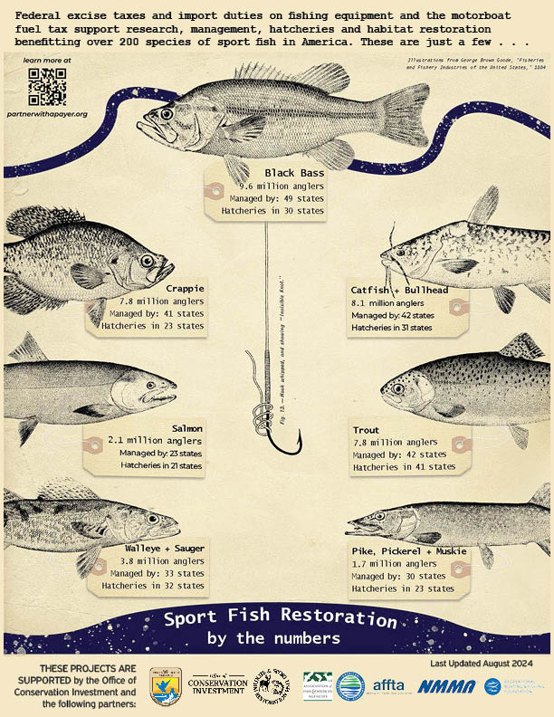 Sportfish Conservation By The Numbers Page 1