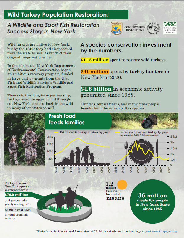 Wild Turkey Factsheet Ci Cover