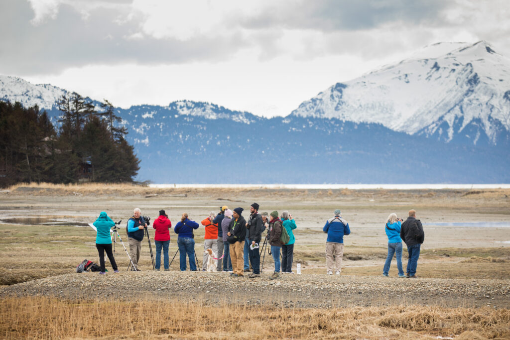 Lisa Hupp Usfws (alaska Flickr) (2)