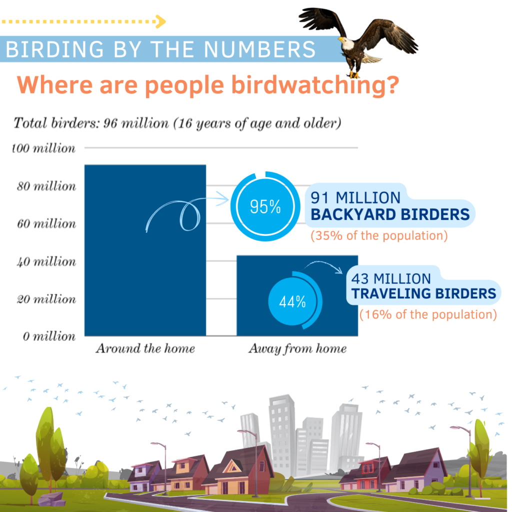 Backyard Birding And Traveling Birders