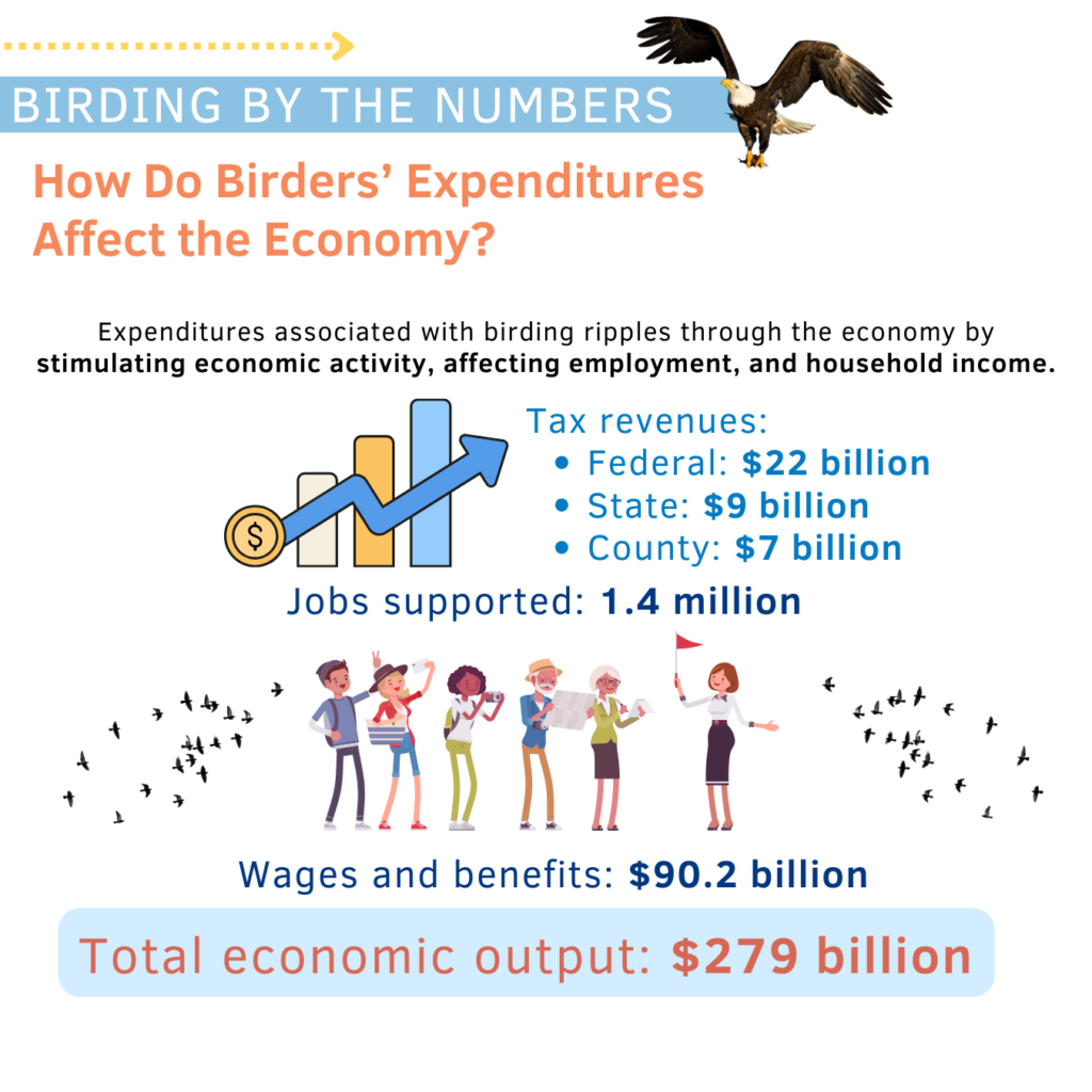 Birding Economic Impact