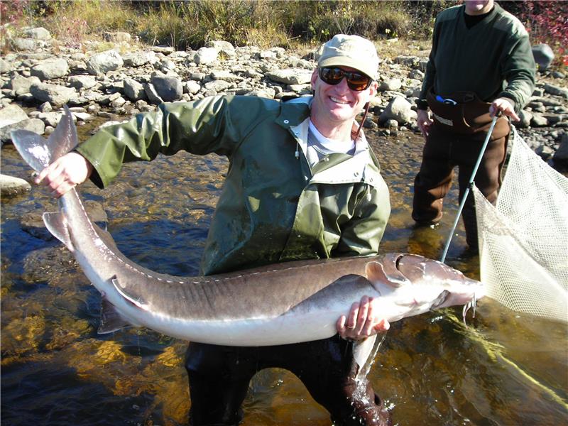 Menominee sturgeon survey michigan dnr