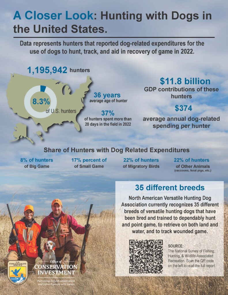 Hunting with dogs infographic