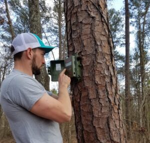 A man presses buttons on a green panel attached to a tree trunk.