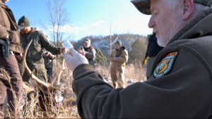A West Virginia DNR biologist withdraws a solution from a vial. An elk is visible in the background.