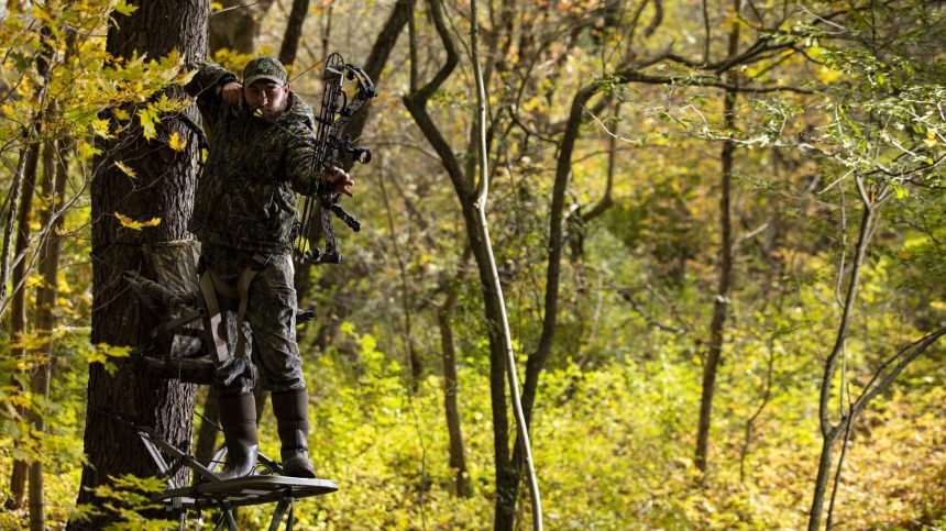 man bowhunting from a treestand