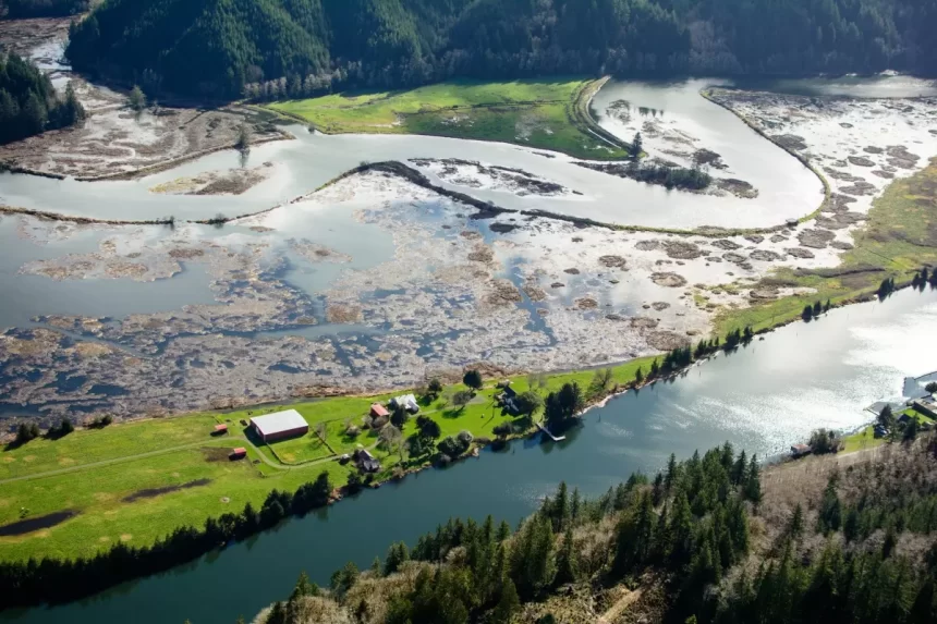 Aerial view of the Siuslaw River's Duncan Island at King Tide.