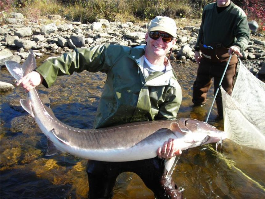 Menominee sturgeon survey michigan dnr